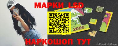 шишки Новозыбков