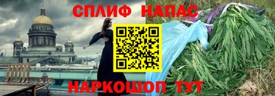 альфа пвп Новокубанск