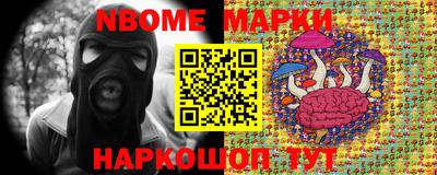 шишки Новозыбков
